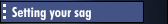 Setting your sag